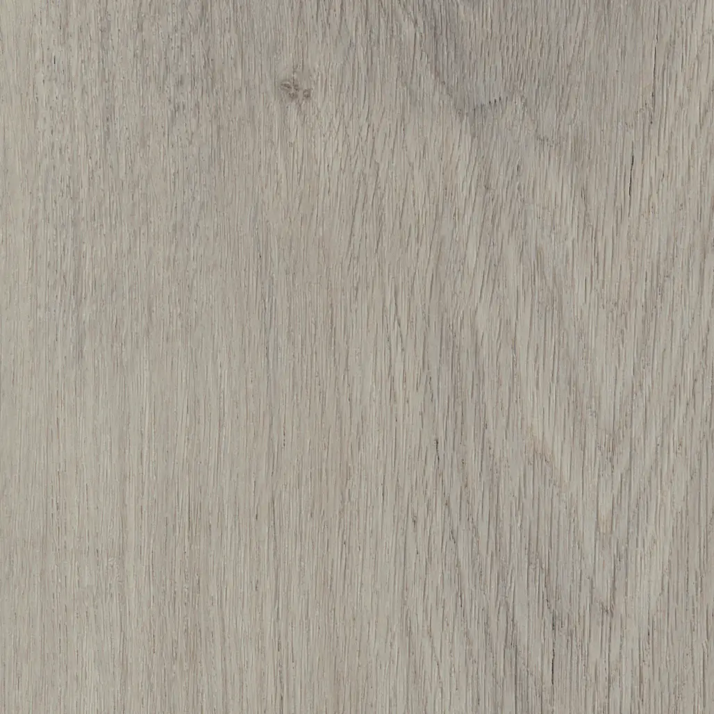 Royal Oak Dove - Image 2