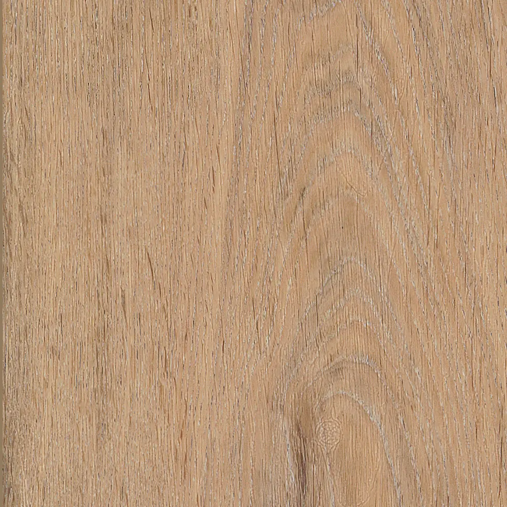 Silk Oak Oat - Image 2